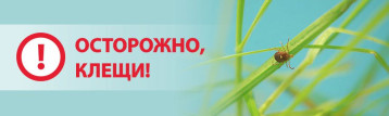 Риск укусов клещей Риск укусов клещей.