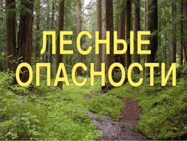 Риск для жизни и здоровья при нахождении в лесу Риск для жизни и здоровья при нахождении в лесу.