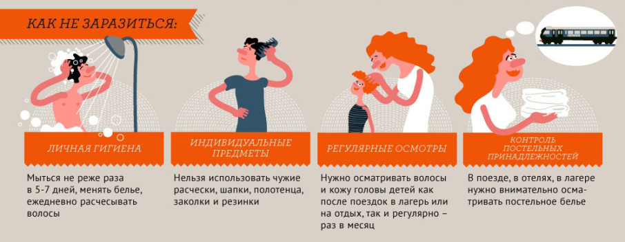 Профилактика педикулеза. Как не заразиться Профилактика педикулеза. Как не заразиться.