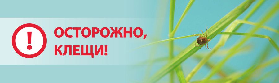 Риск укусов клещей Риск укусов клещей.